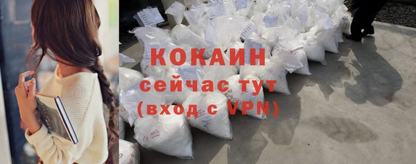 гидра Снежногорск