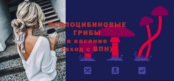 PSILOCYBIN Снежинск