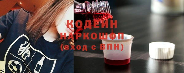 гидра Снежногорск