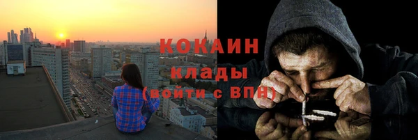 PSILOCYBIN Снежинск