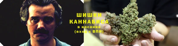PSILOCYBIN Снежинск
