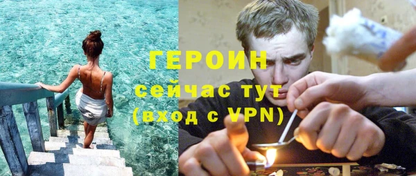 гидра Снежногорск
