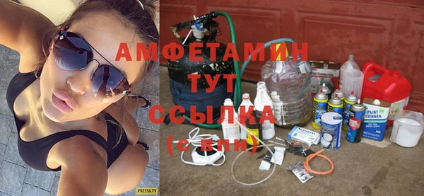 гидра Снежногорск