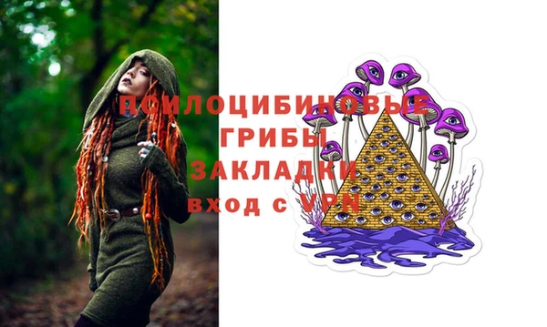 PSILOCYBIN Снежинск