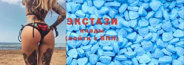 гидра Снежногорск
