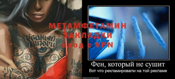 гидра Снежногорск