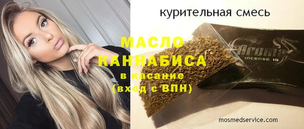 гидра Снежногорск