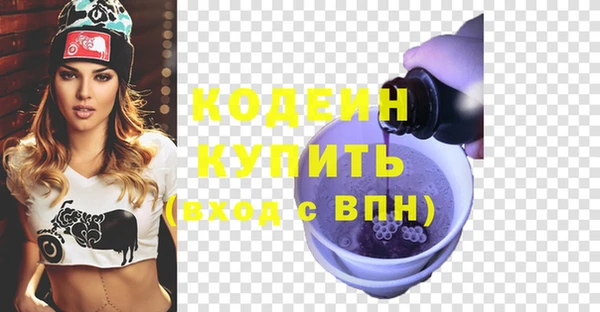 гидра Снежногорск