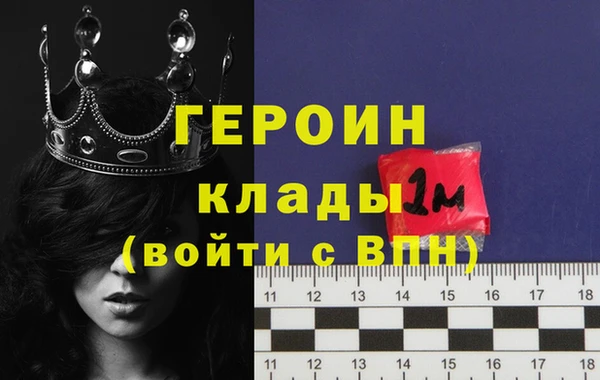 гидра Снежногорск